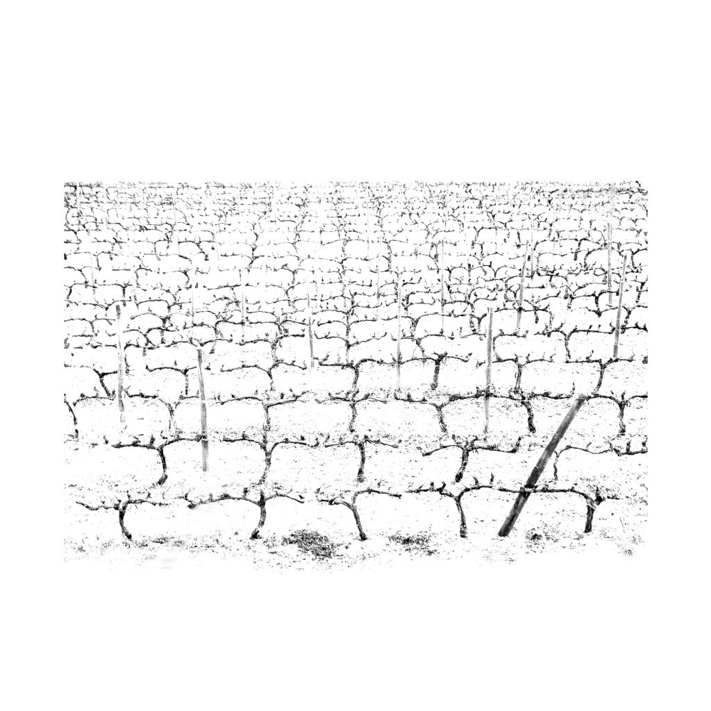 arquitectura fotografía estructuras innovación construcción edificio dibujo diseño_jose luis morales arquitecto 04